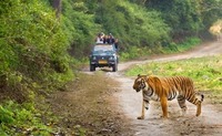 Jim Corbett Park