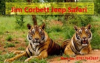 Jim Corbett Jeep Safari
