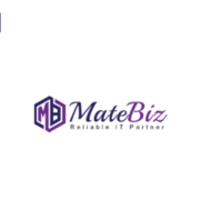 Matebiz Pvt Ltd