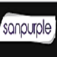Best Software Development Agency In Pune- Sanpurple 