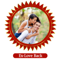 Vedic astrologer