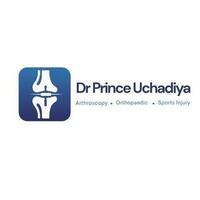 Dr Prince Uchadiya