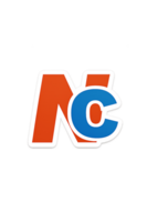 Ngo consultancy